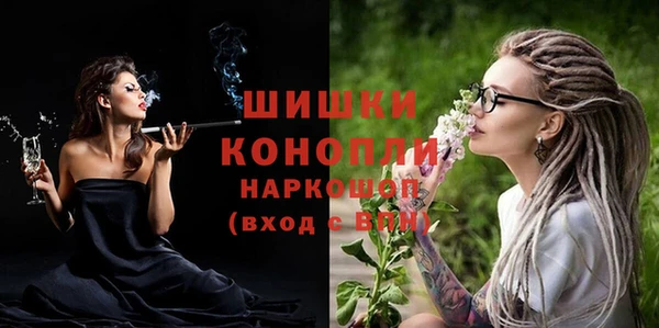 молекула духа Майский